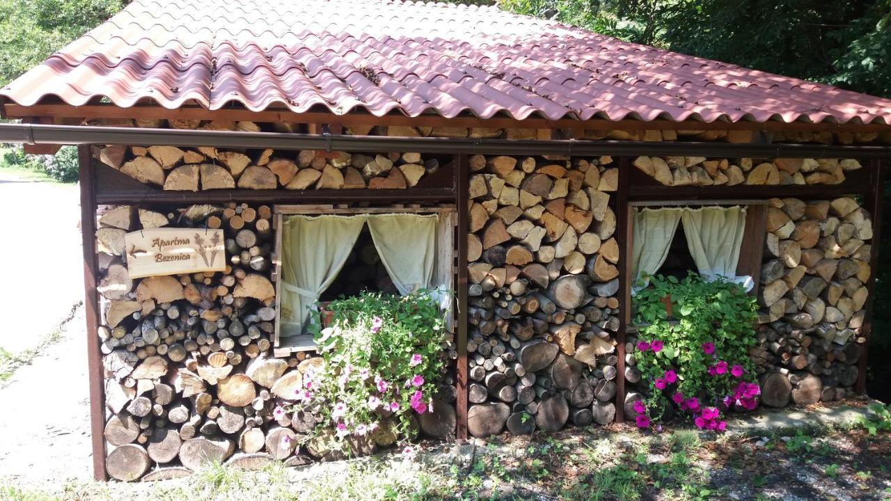 Appartment Bezenica Dobrova Extérieur photo